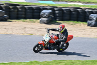 enduro-digital-images;event-digital-images;eventdigitalimages;lydden-hill;lydden-no-limits-trackday;lydden-photographs;lydden-trackday-photographs;no-limits-trackdays;peter-wileman-photography;racing-digital-images;trackday-digital-images;trackday-photos